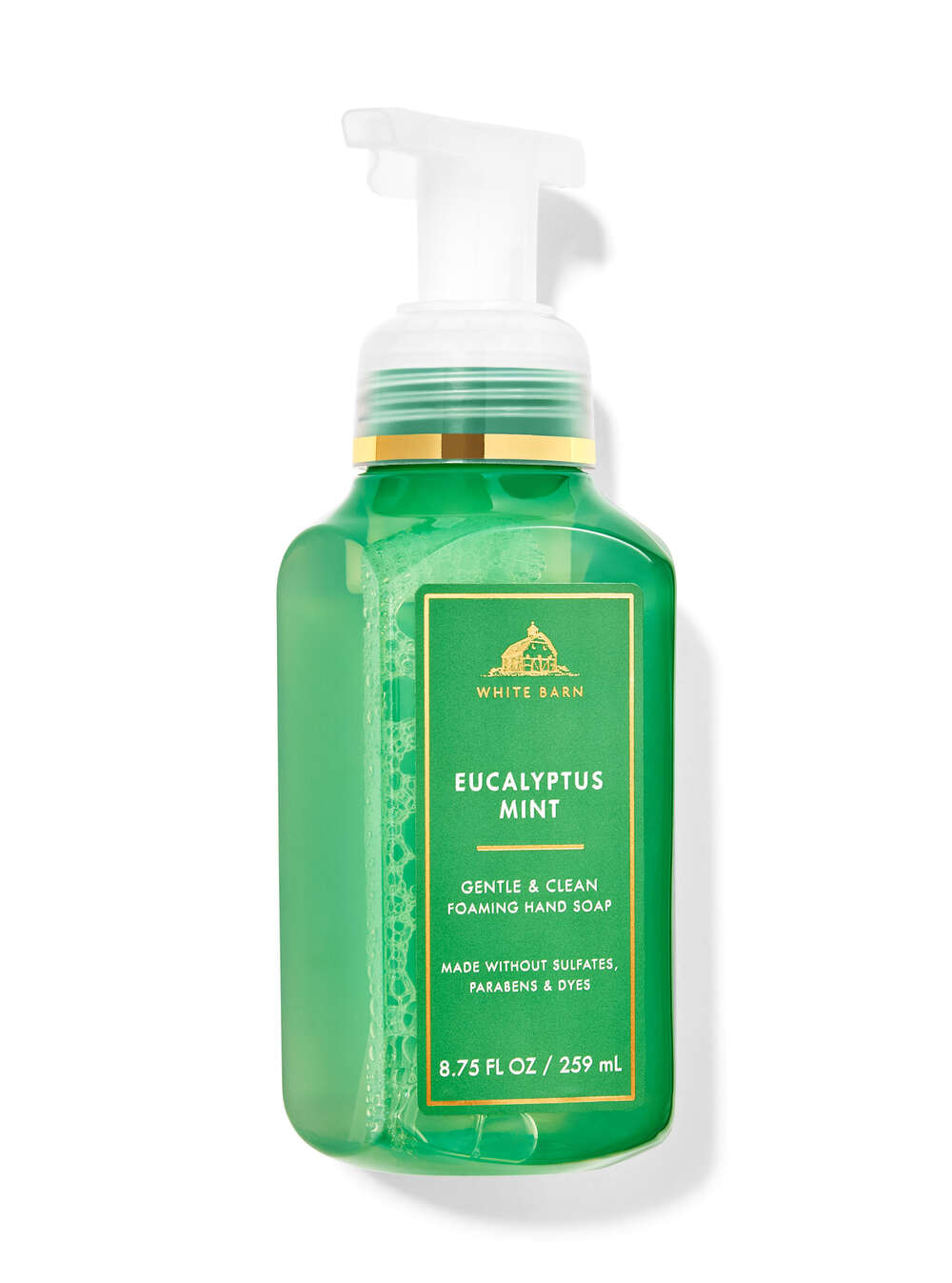 Eucalyptus Mint Gentle & Clean Foaming Hand Soap