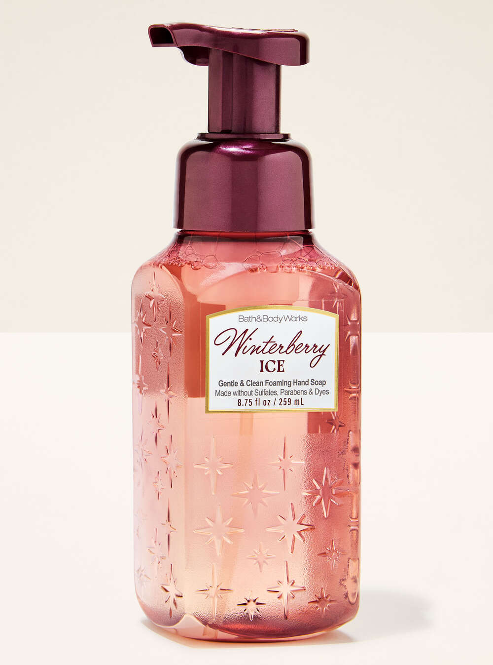 Winterberry Ice Gentle & Clean Foaming Hand Soap