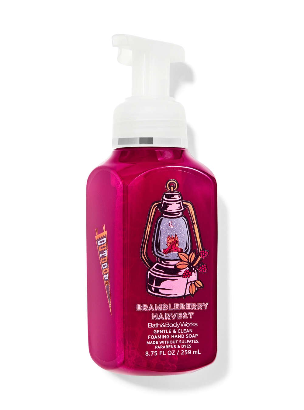 Brambleberry Harvest Gentle & Clean Foaming Hand Soap