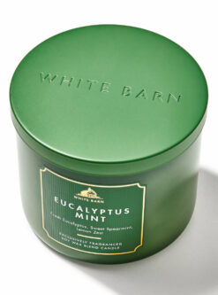 Eucalyptus Mint 3-Wick Candle