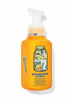 Sun-Washed Citrus Gentle & Clean Foaming Hand Soap